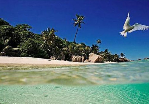 Cousine Island, Seychelles