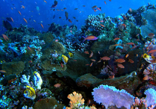 Bunaken (North Sulawesi, na Indonésia)