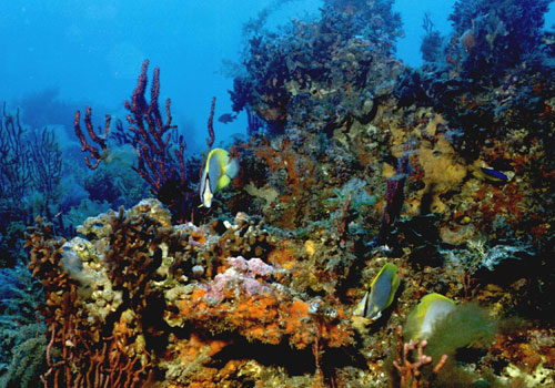 Hurghada - Egito