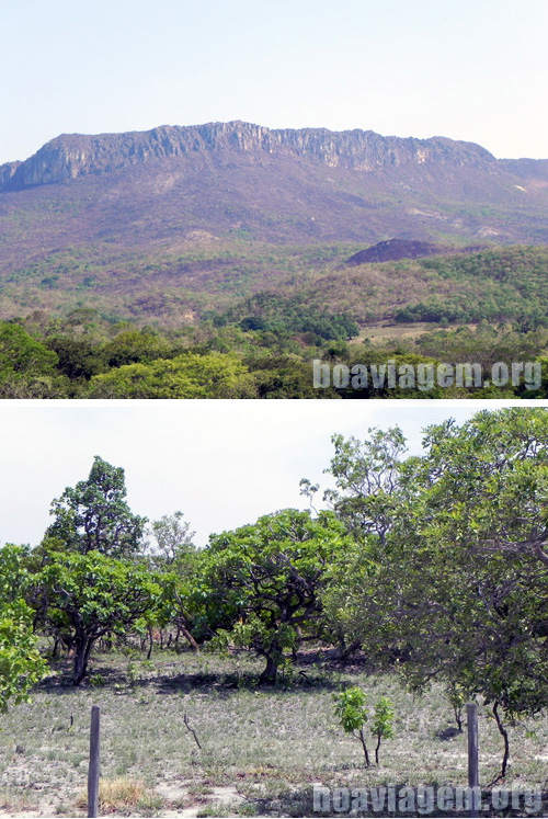 Vegetação e Relevo do cerrado goiano