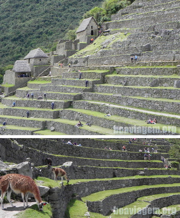 Setor agrícola de Machu Picchu