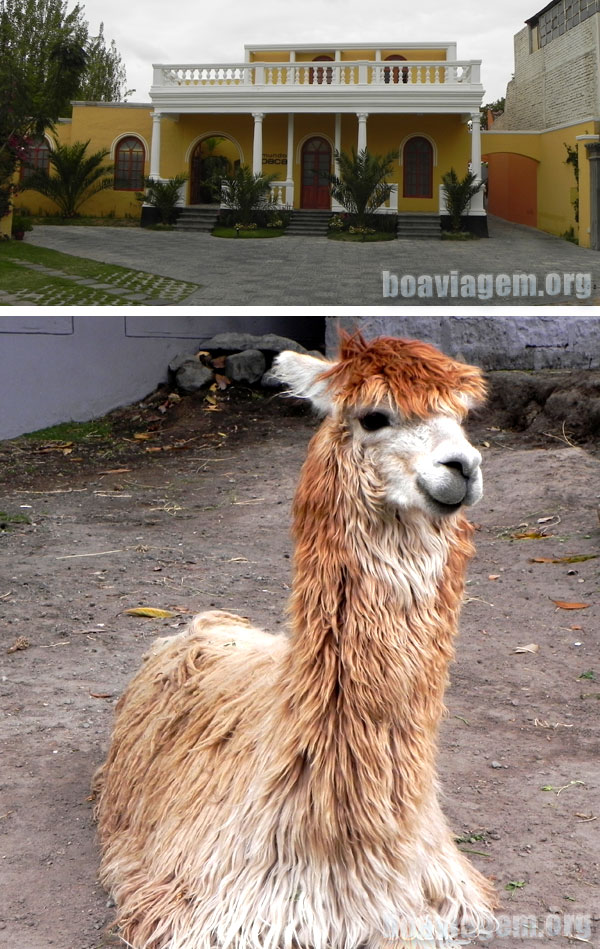 Mundo Alpaca em Arequipa
