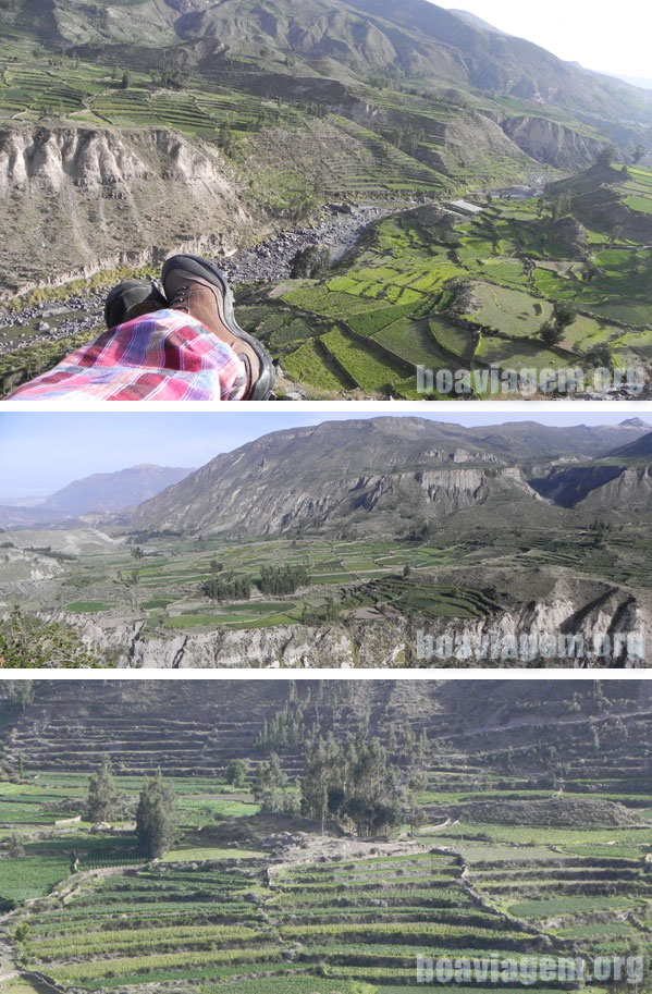 As terraças de produção agrícola no Canyon del Colca