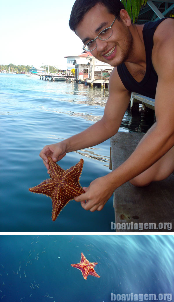 Estrela do mar bocas panama