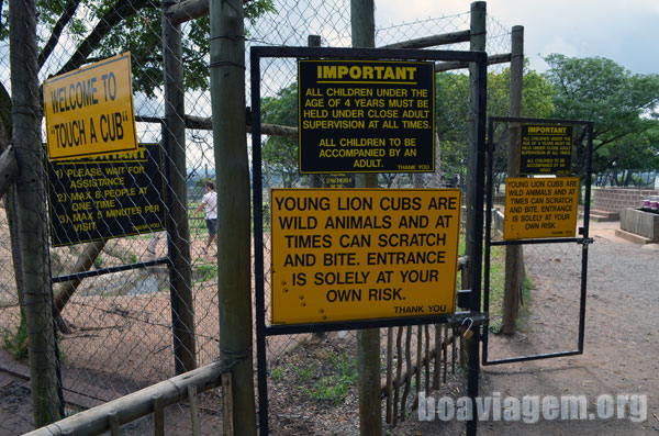 Primeira impressão do parque dos Leões?