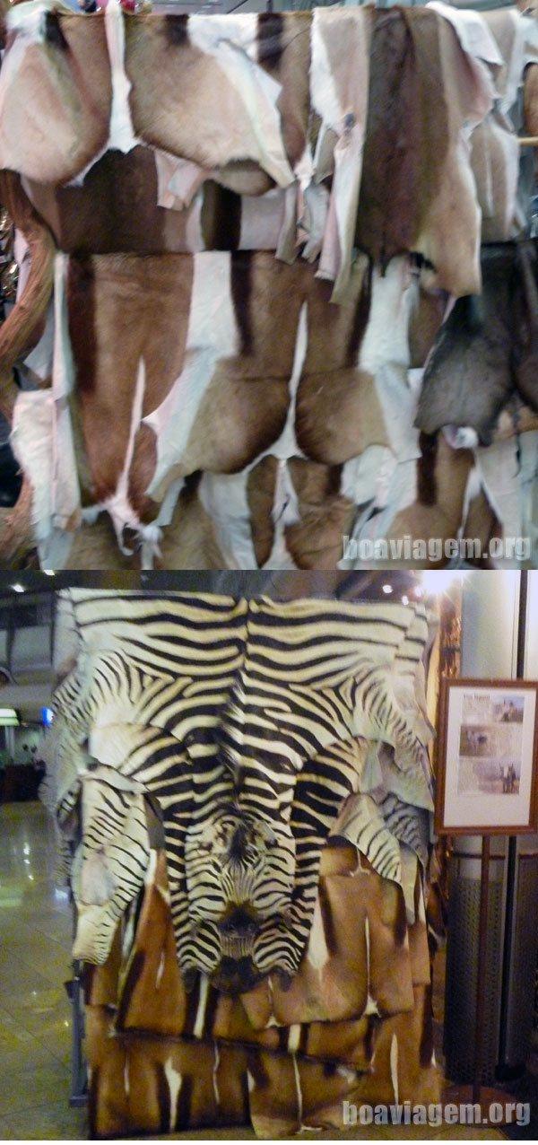 Duty Free em Joanesburgo: Couro legítimo de animais selvagens em Joanesburgo