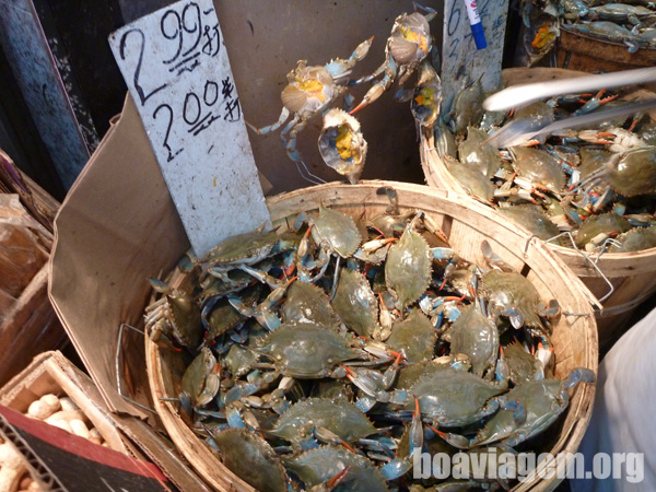 Comida do Mar em ChinaTown NYC