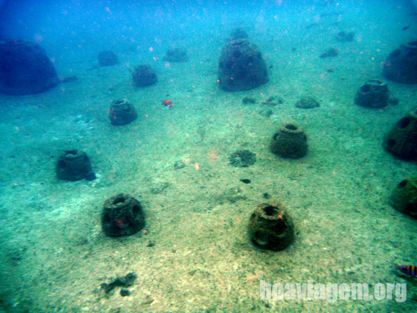 Alguns berçários de peixes em Cozumel