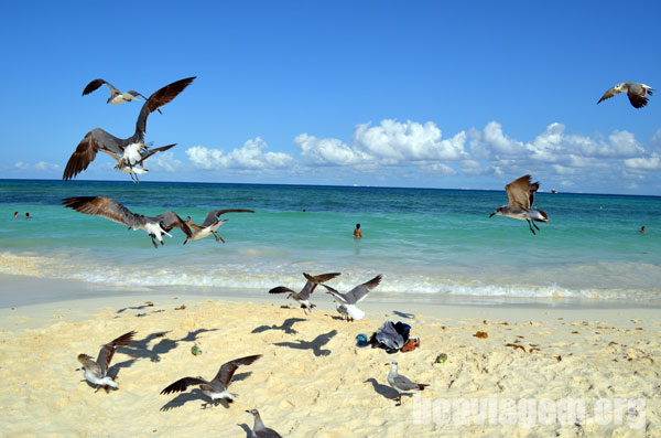 A belíssima praia da cidade mexicana de Playa del Carmen