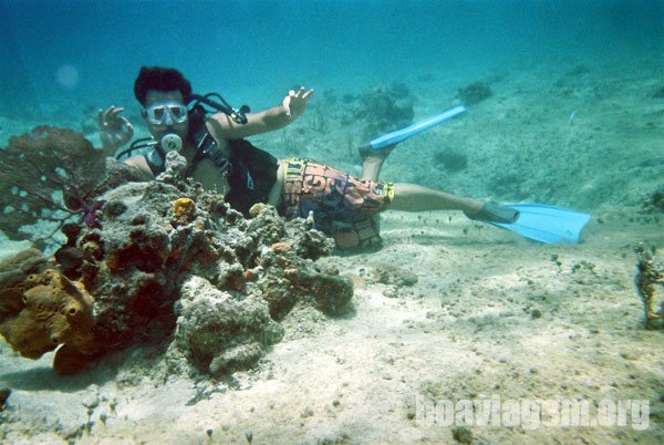 Corais lindíssimos em Cozumel