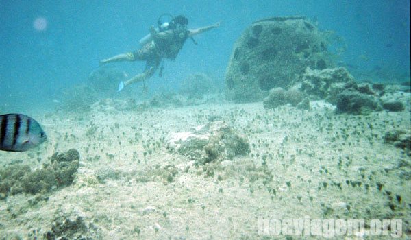 mergulho cilindro cozumel