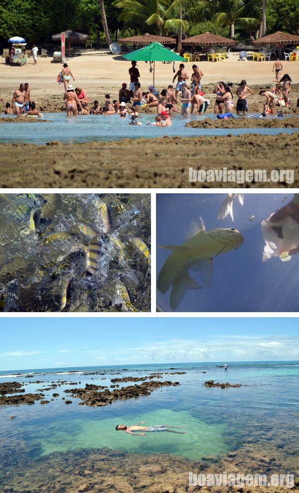 Piscinas naturais nos corais da Quarta Praia