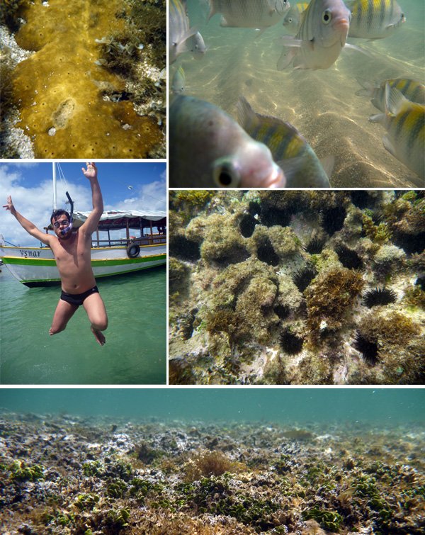 Snorkel Morro de São Paulo na Bahia