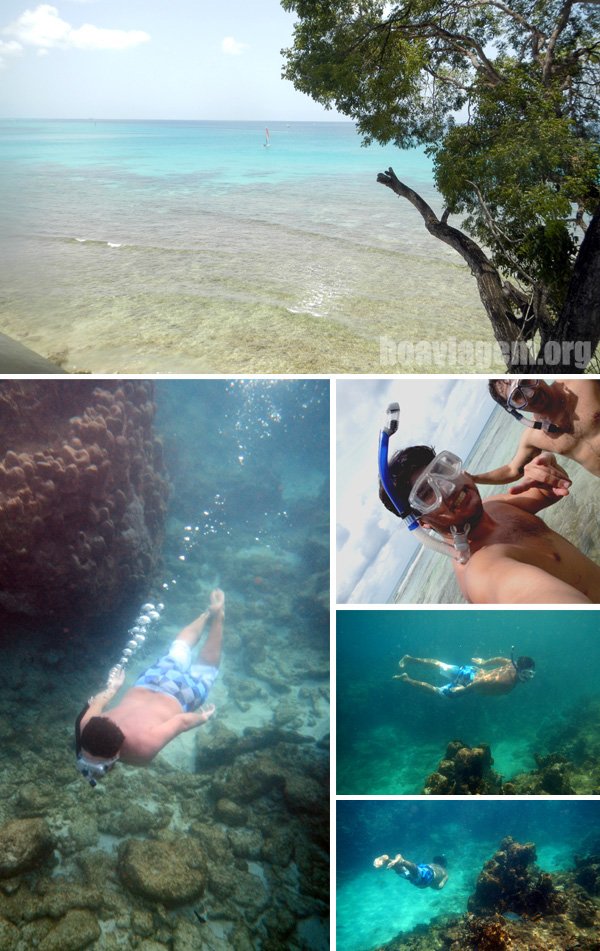 Barbados, Costa Oeste, Caribe, Mergulho