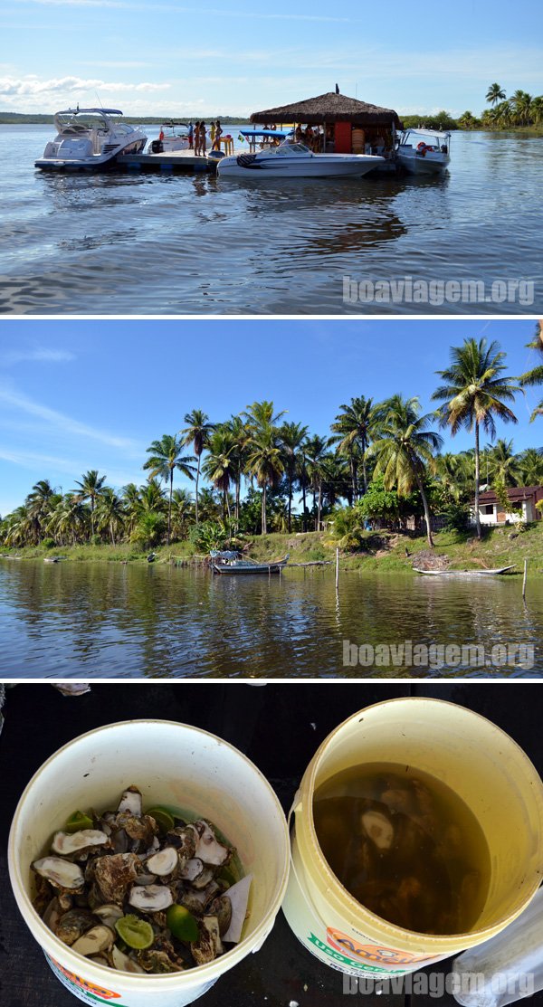 Bar flutuante de ostras próxima a Boipeba