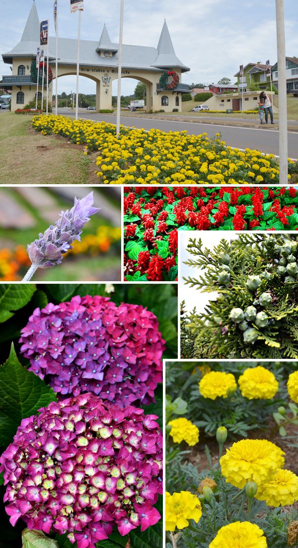 Flores e mais flores na minha primeira visita a Gramado!