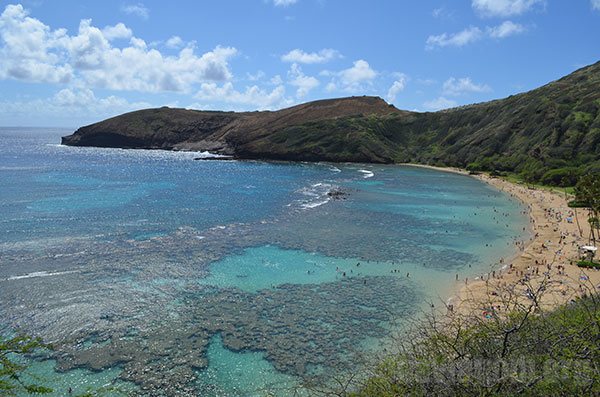 Fazer snorkel e passar o dia todo na Hanauma Bay OAHU