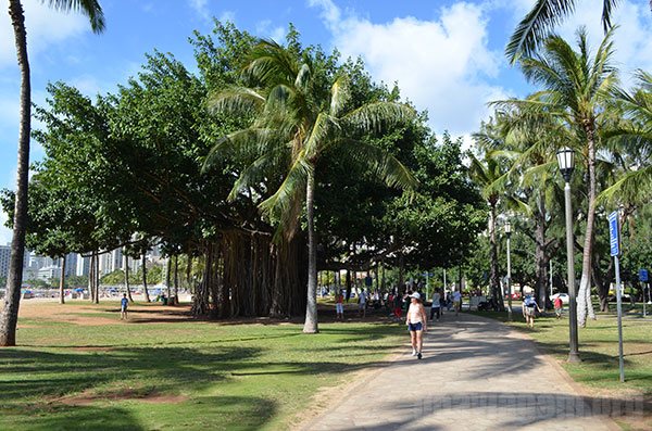 Gastar no mínimo 2 dias explorando os arredores de Waikiki