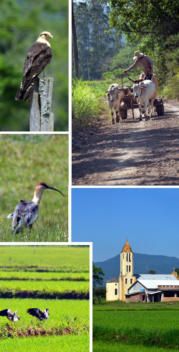 Um pouco das belezas naturais que encontramos por lá