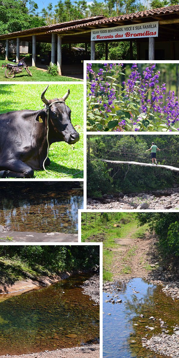 Recanto das Bromélias - bela fazenda propícia ao ecoturismo
