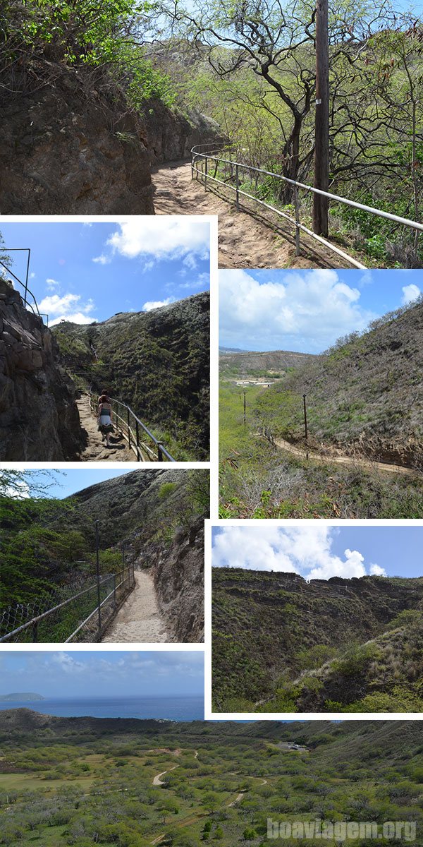 Trilhas, trilhas e mais trilhas dentro do Diamond Head Park