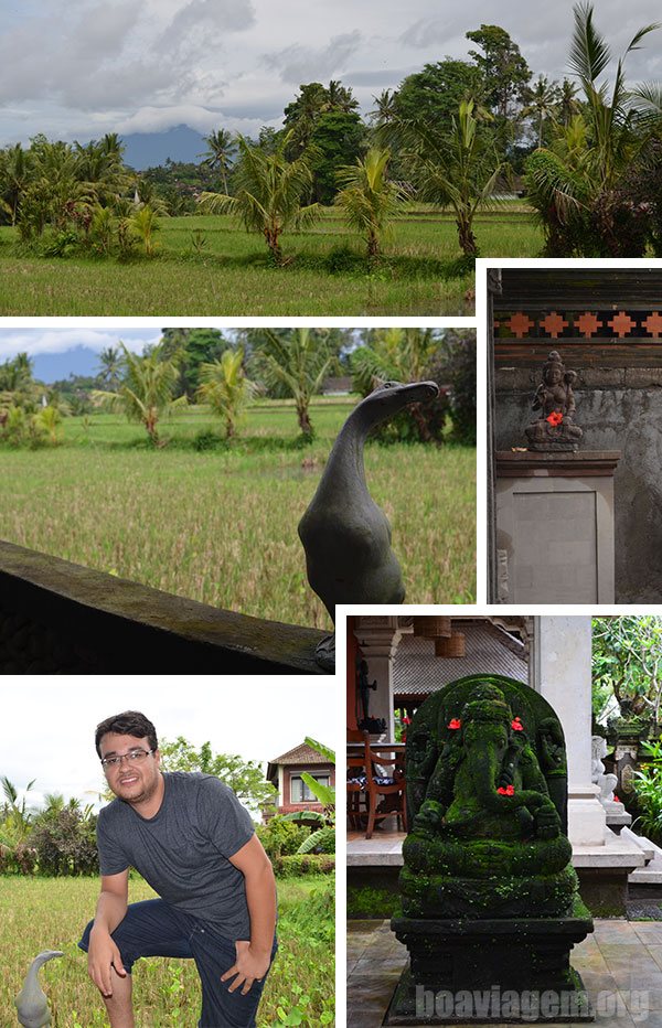 Campos de Arroz na chegada a Ubud, no interior de Bali