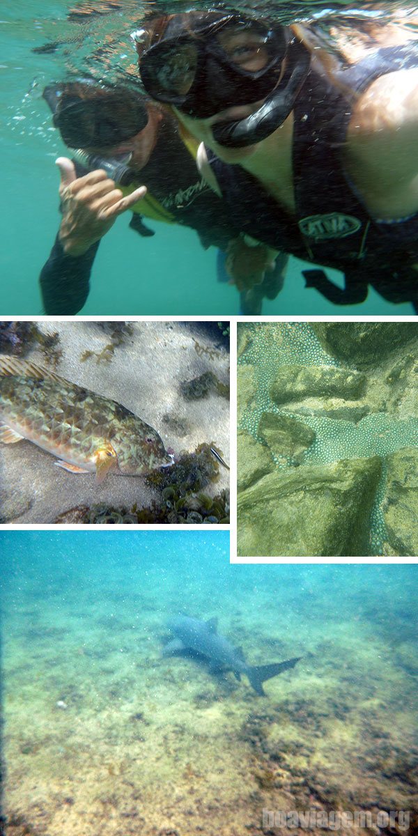 Partindo para um mergulho livre com snorkel no Sueste