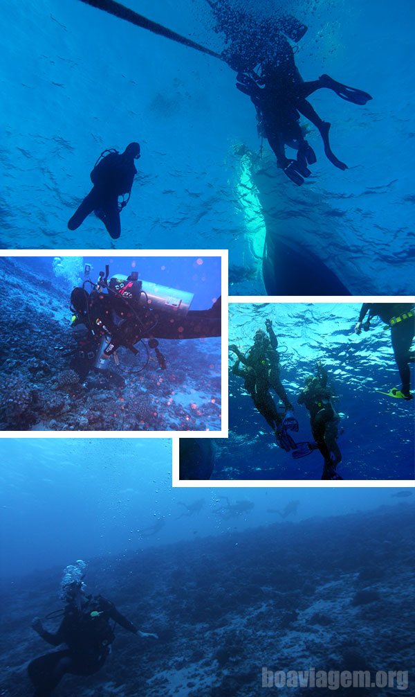 Primeiras impressões do mergulho com cilindro no Molokini Crater