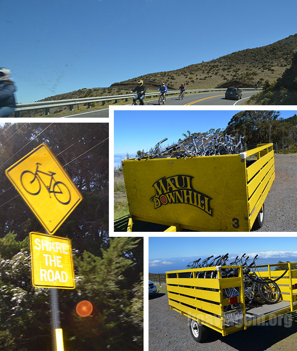 Esporte sensação nas estradas que ligam Maui ao Haleakala é o downhill