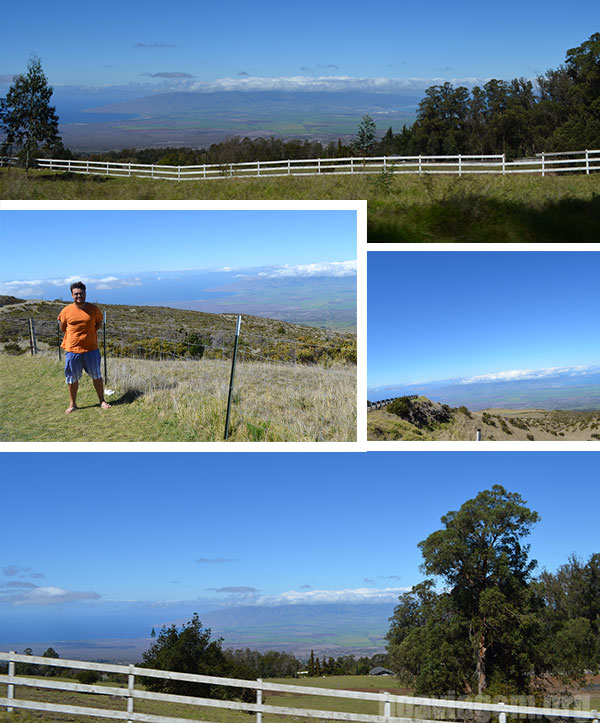 Paisagens na estrada para o topo do Haleakala em Maui