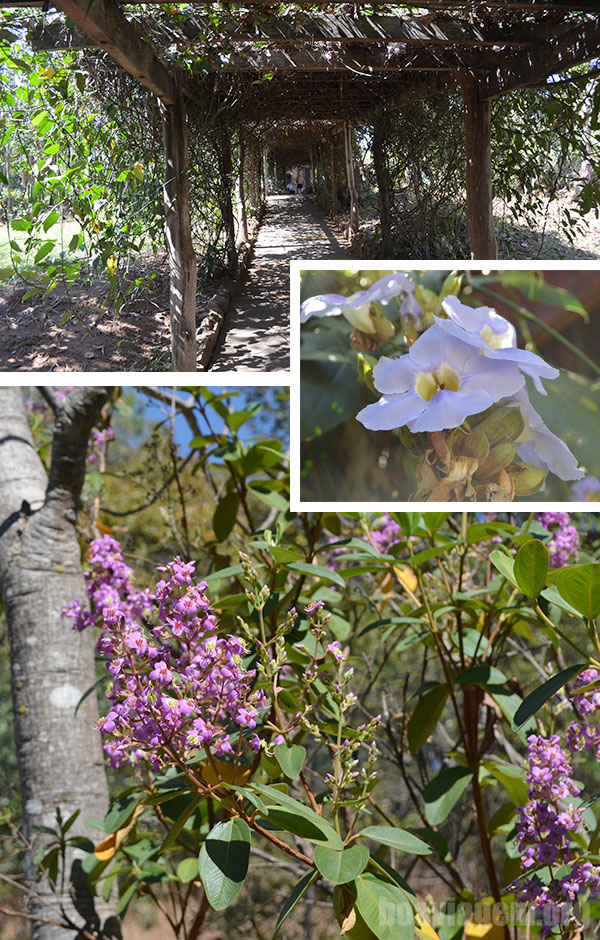 Visitando o Parque Estadual da Serra de Caldas Novas