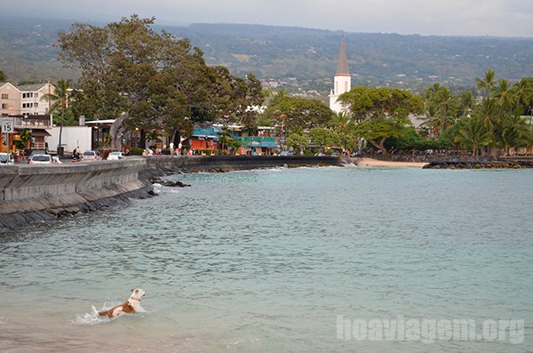 Baía de Kona - Big Island - Havaí