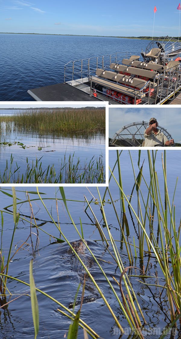 Passeio de Airboat para ver crocodilos na Flórida