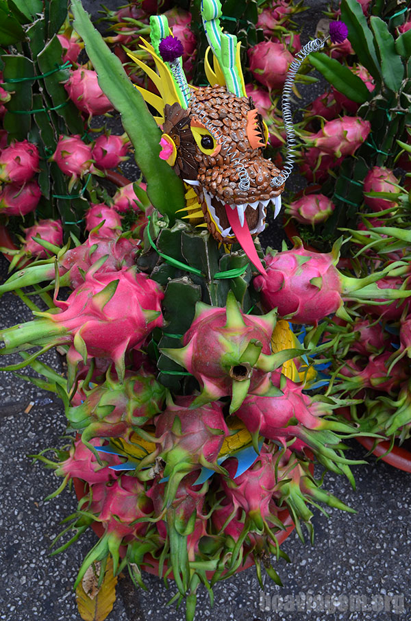 Dragon Fruit - A Fruta do Dragão