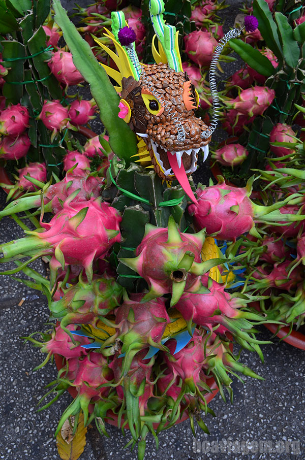 Dragon Fruit - A Fruta do Dragão