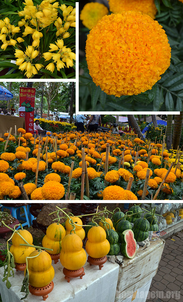 Flores e mais flores, melões e melancias