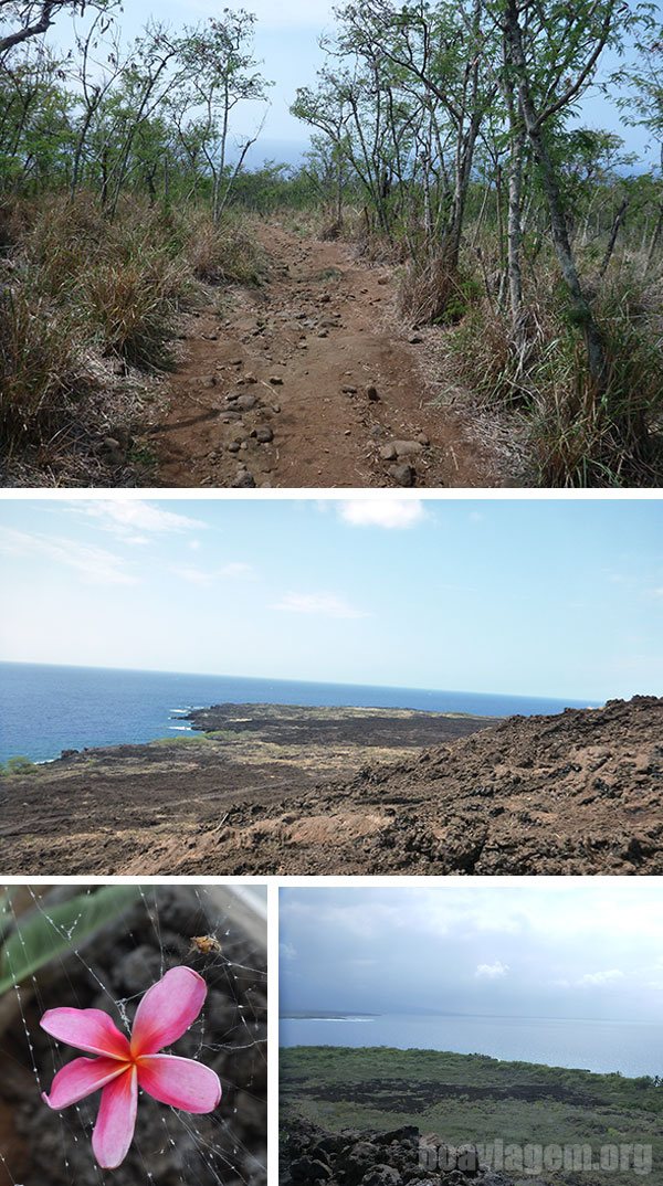 Trilha ingrime para chegar até a Baía de Kealakekua