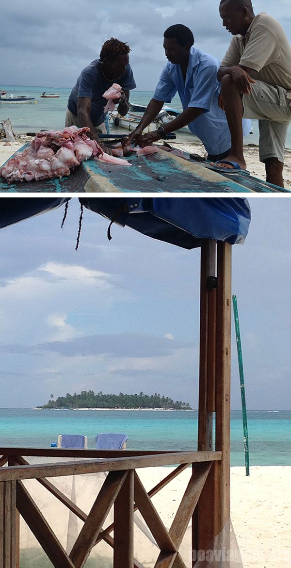 Pescado fresco e a vista de Jonnie Cay Comida em San Andrés: Pescado fresco e a vista de Jonnie Cay