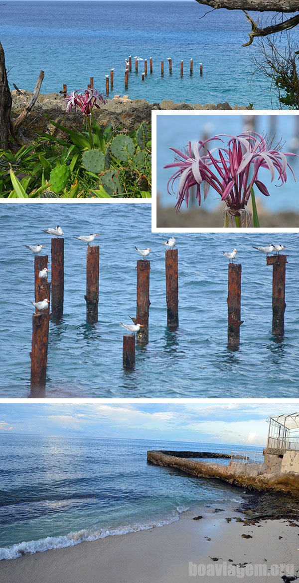 Detalhes de uma volta na Ilha de San Andrés