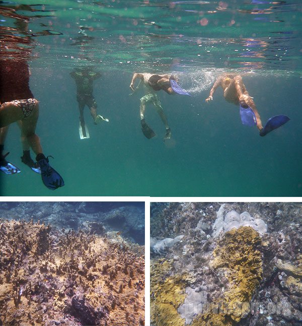 Snorkel na Baía do Sancho