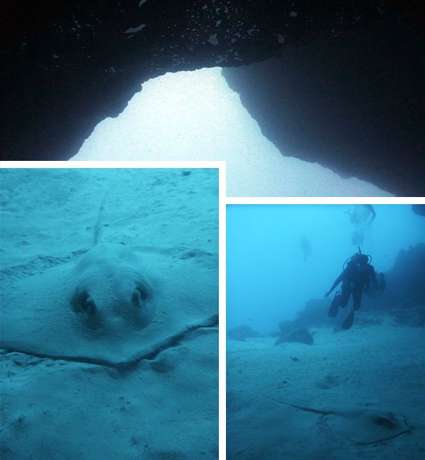 Uma gigantesca raia descansando nas areias da caverna