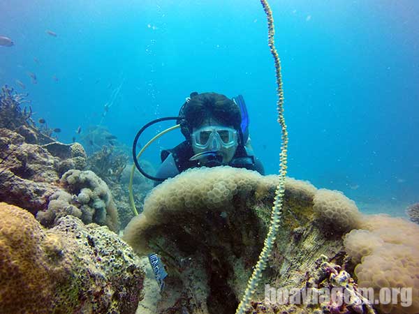 Mergulhando em Zanzibar