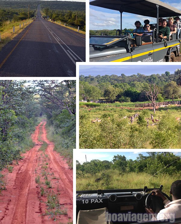 Stanley & Livingston Private Game Reserve no Zimbábue