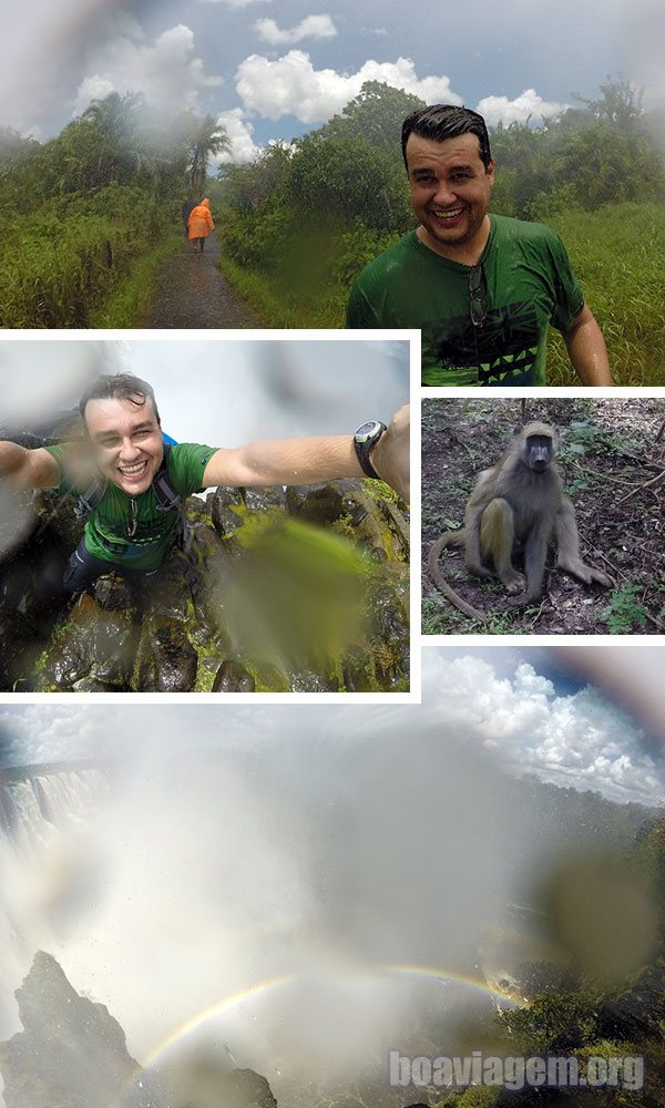 Caminhando pela RainForest: a floresta onde nunca para de chover