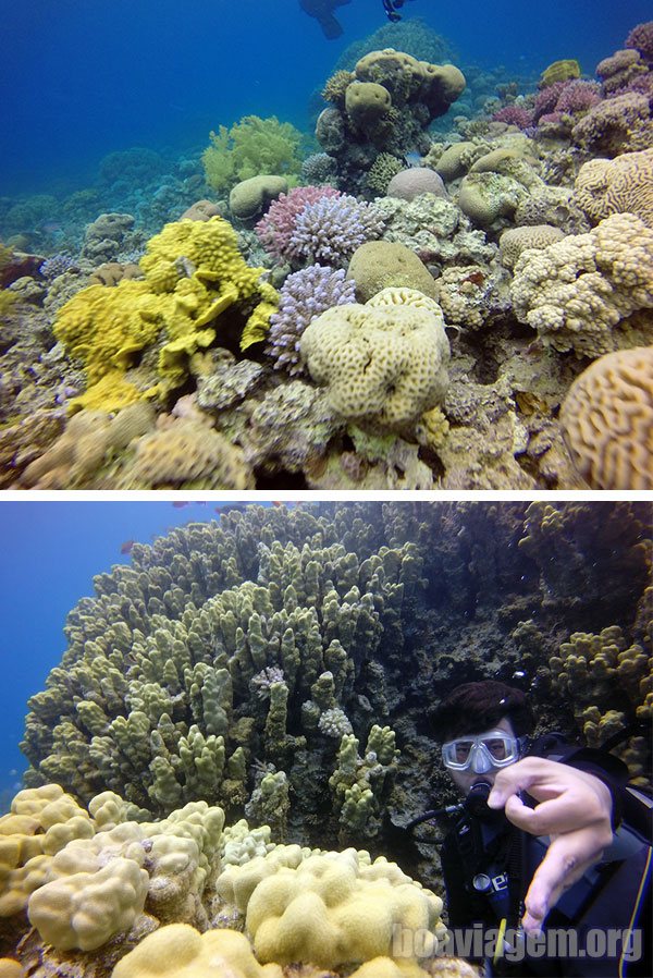 Reef do arco-íris na Jordânia