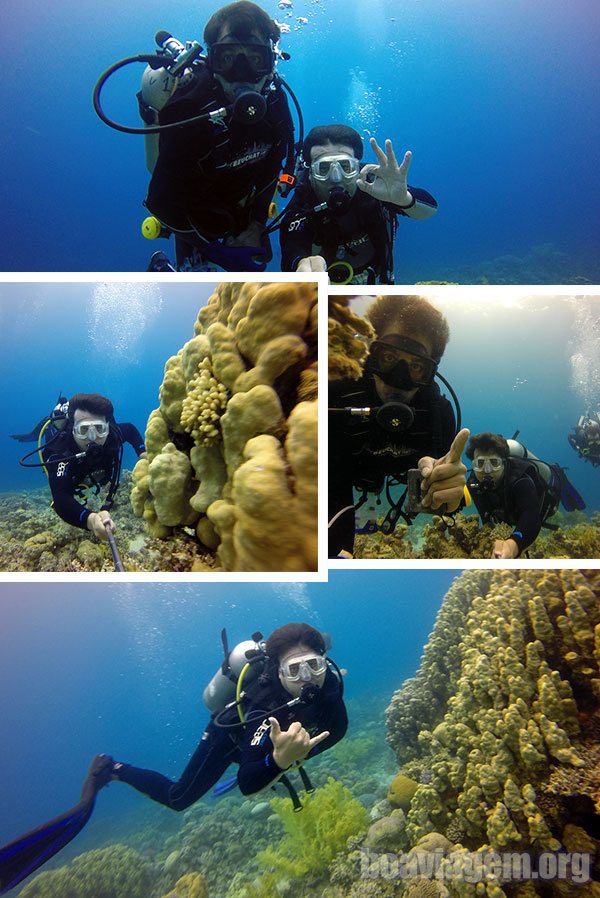 Rainbow Reef em Aqaba - Mar Vermelho