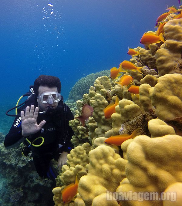 Mergulho com cilindro no Mar Vermelho - Jordânia