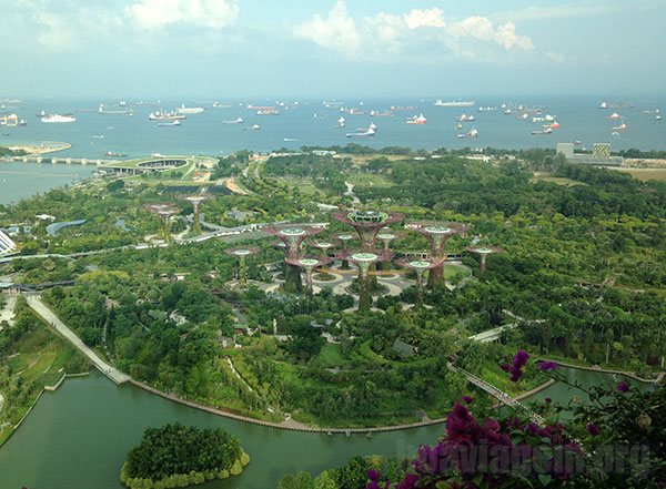 Gardens by the Bay visto desde o Marina Bay Sands Hotel
