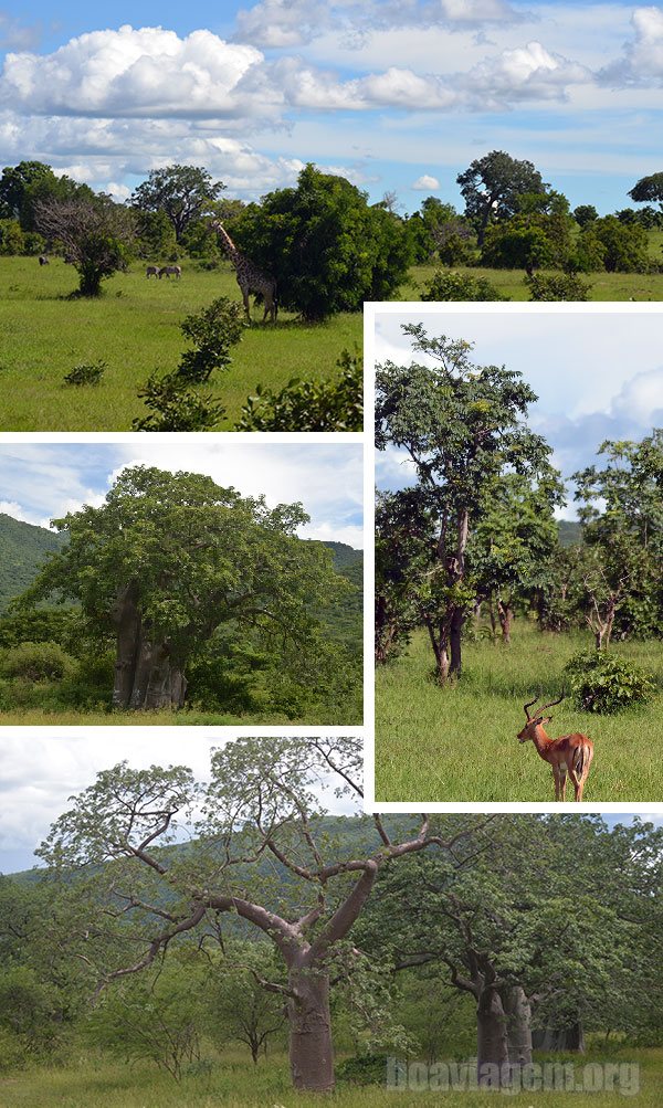 Paisagens no nosso caminho de Mbeya até Dar Es Salaam