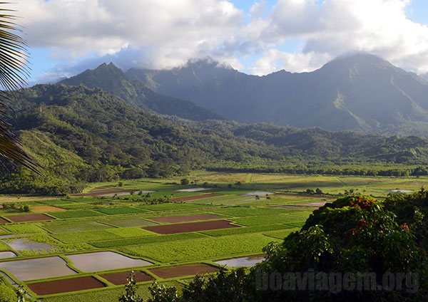 Paisagens com relevo acidentado e plantações coloridas